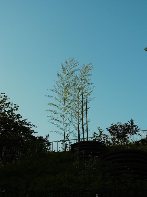 Guesthouse Engawa Kyoto Rom bilde